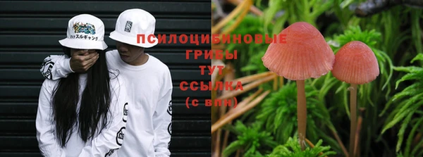 не бодяженный Армянск