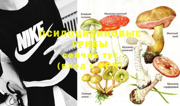 соль курить ск Аркадак