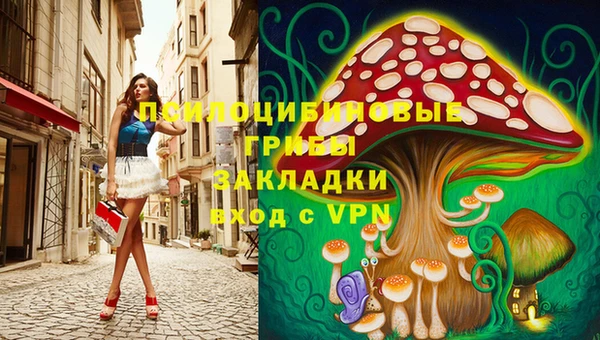 мяу мяу мука Арсеньев