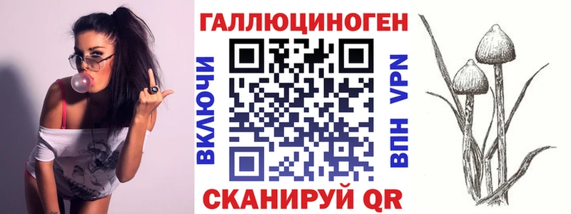 хочу наркоту  Бабушкин  Псилоцибиновые грибы ЛСД 